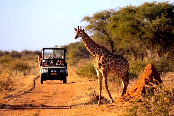 Tanzania: safari i Zanzibar bez chaosu – jak ułożyć idealny plan podróży