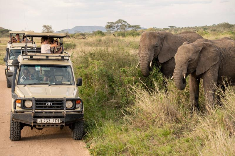 Planowanie podróży do Tanzanii