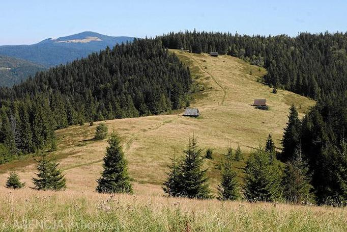 Szlaki na Turbacz