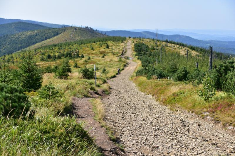 Szlaki w Beskidach