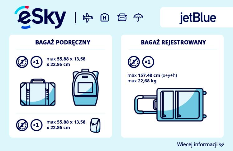 Zakazane przedmioty w bagażu rejestrowanym